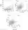 Fig. 12 - Tumor specific antibody conjugates and uses therefor
