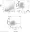 Fig. 13 - Tumor specific antibody conjugates and uses therefor