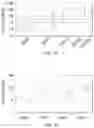 Fig. 15 - Tumor specific antibody conjugates and uses therefor