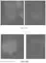 Fig. 25 - Tumor specific antibody conjugates and uses therefor
