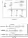 Fig. 30 - Tumor specific antibody conjugates and uses therefor