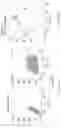 Fig. 32 - Tumor specific antibody conjugates and uses therefor
