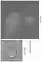 Fig. 34 - Tumor specific antibody conjugates and uses therefor