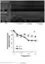 Fig. 12 - Stabilized nanobubbles for diagnostic and therapeutic applications
