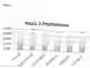 Fig. 13 - Method of Treating Diaper Rash with a Poly-Oxygenated Metal Hydroxide
