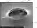 Fig. 01 - FILMS AND METHODS OF MANUFACTURE