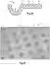 Fig. 07 - FILMS AND METHODS OF MANUFACTURE