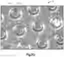 Fig. 08 - FILMS AND METHODS OF MANUFACTURE