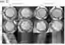 Fig. 15 - Tunable, controlled-release, urethane-containing elastomers and processes of forming the same