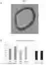 Fig. 04 - Method for protecting skeletonized blood vessels
