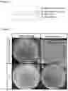 Fig. 02 - Antibacterial member