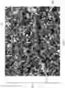 Fig. 06 - Foam structure wound inserts for directional granulation
