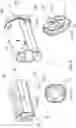 Fig. 04 - Medicament delivery device having a cap assembly