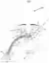 Fig. 02 - Nasal breathing apparatus and method for high-flow therapy and non-invasive ventilation