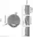 Fig. 04 - Targeted drug delivery methods using a microneedle