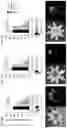 Fig. 09 - Targeted drug delivery methods using a microneedle