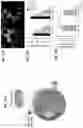 Fig. 22 - Targeted drug delivery methods using a microneedle