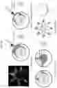 Fig. 27 - Targeted drug delivery methods using a microneedle