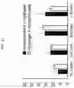 Fig. 32 - Targeted drug delivery methods using a microneedle