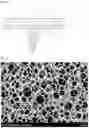 Fig. 03 - MICRONEEDLE WITH POROUS COATING LAYER, MANUFACTURING METHOD THEREOF AND MICRONEEDLE PATCH WITH THE SAME
