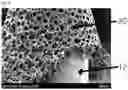 Fig. 04 - MICRONEEDLE WITH POROUS COATING LAYER, MANUFACTURING METHOD THEREOF AND MICRONEEDLE PATCH WITH THE SAME