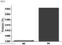 Fig. 06 - MICRONEEDLE WITH POROUS COATING LAYER, MANUFACTURING METHOD THEREOF AND MICRONEEDLE PATCH WITH THE SAME