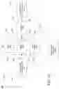 Fig. 16 - Dipolar antenna system and related methods