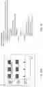 Fig. 15 - Methods and apparatuses for improving peripheral nerve function