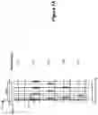 Fig. 07 - Stimulation Using Long Duration Waveform Phases in a Spinal Cord Stimulator System