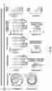Fig. 17 - SYSTEM AND METHOD FOR BRAIN STIMULATION FOR IMPROVEMENT OF MOTOR SYMPTOMS IN PARKINSON'S DISEASE AND OTHER MOVEMENT DISORDERS