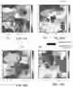 Fig. 30 - System and method of identifying sources associated with biological rhythm disorders