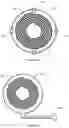 Fig. 17 - Aesthetic method of biological structure treatment by magnetic field