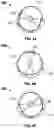 Fig. 06 - Venus Flu Trap
