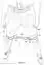 Fig. 10 - TRAINING APPARATUS AND METHODS OF MAKING AND USING SAME