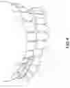 Fig. 05 - Dental guard and tray and method of forming such