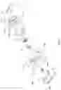 Fig. 06 - Sporting Device