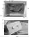 Fig. 02 - Circular Mosaic Puzzle