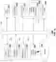 Fig. 20 - Gaming accessory with sensory feedback device