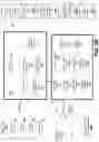 Fig. 05 - Drama engine for dramatizing video gaming