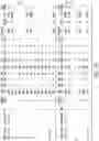 Fig. 06 - REAL-TIME ANALYTICS AND COACHING IN ATHLETICS AND COMPETITIONS