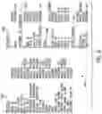 Fig. 10 - REAL-TIME ANALYTICS AND COACHING IN ATHLETICS AND COMPETITIONS