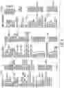 Fig. 12 - REAL-TIME ANALYTICS AND COACHING IN ATHLETICS AND COMPETITIONS