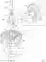 Fig. 06 - Bubble machine for producing vertical bubbles