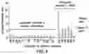 Fig. 05 - METHODS FOR IMPROVING FILTERABILITY OF POLYSACCHARIDE-PROTEIN CONJUGATE REACTIONS