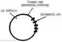 Fig. 01 - EMULSIFIED DISPERSION LIQUID