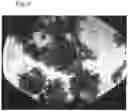 Fig. 07 - EMULSIFIED DISPERSION LIQUID