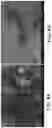 Fig. 05 - Fabrication of hydroxyapatite based hybrid sorbent media for removal of fluoride and other contaminants