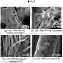 Fig. 08 - Cesium adsorbent and method of preparing the same