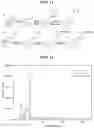 Fig. 11 - Cesium adsorbent and method of preparing the same