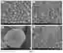 Fig. 07 - Molecular Imprinted Polymers for Chemosensing